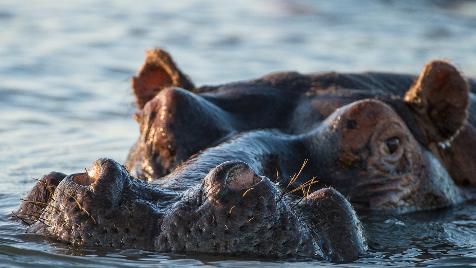 Highlights von Südafrika